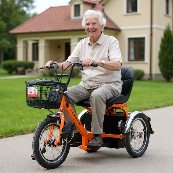 Premium 250W Three Wheel Mobility Scooter For Seniors With Basket - Mobility Buy