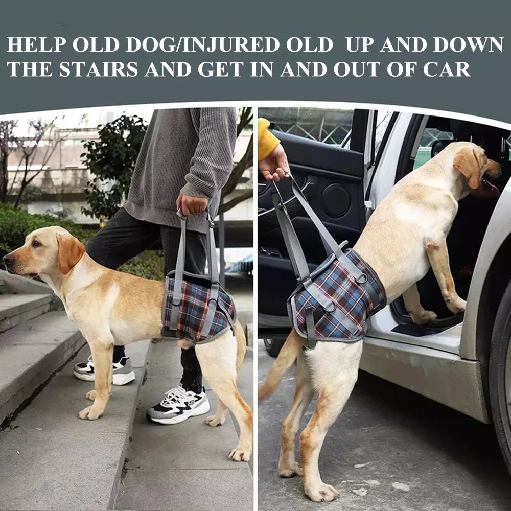 Premium Adjustable Dog Support Harness For Senior Pet Leg Recovery - Mobility Buy
