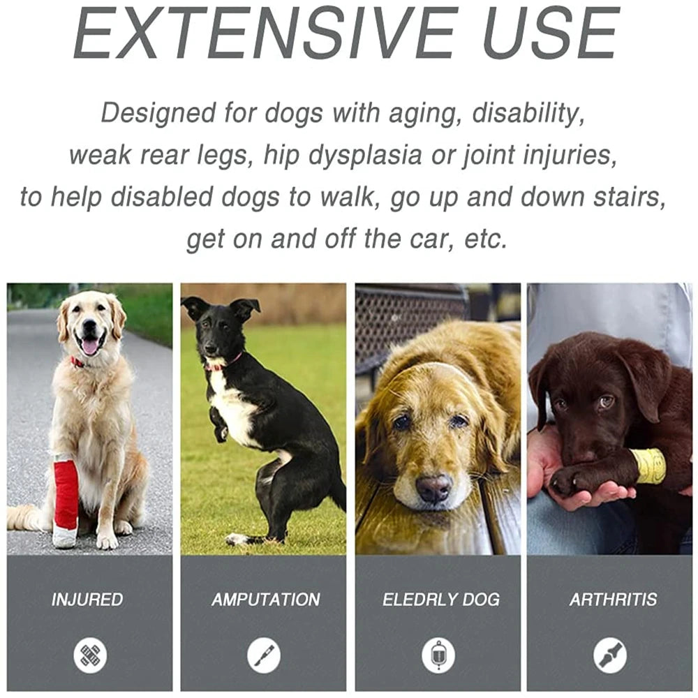 Premium Adjustable Dog Support Harness For Senior Pet Leg Recovery - Mobility Buy