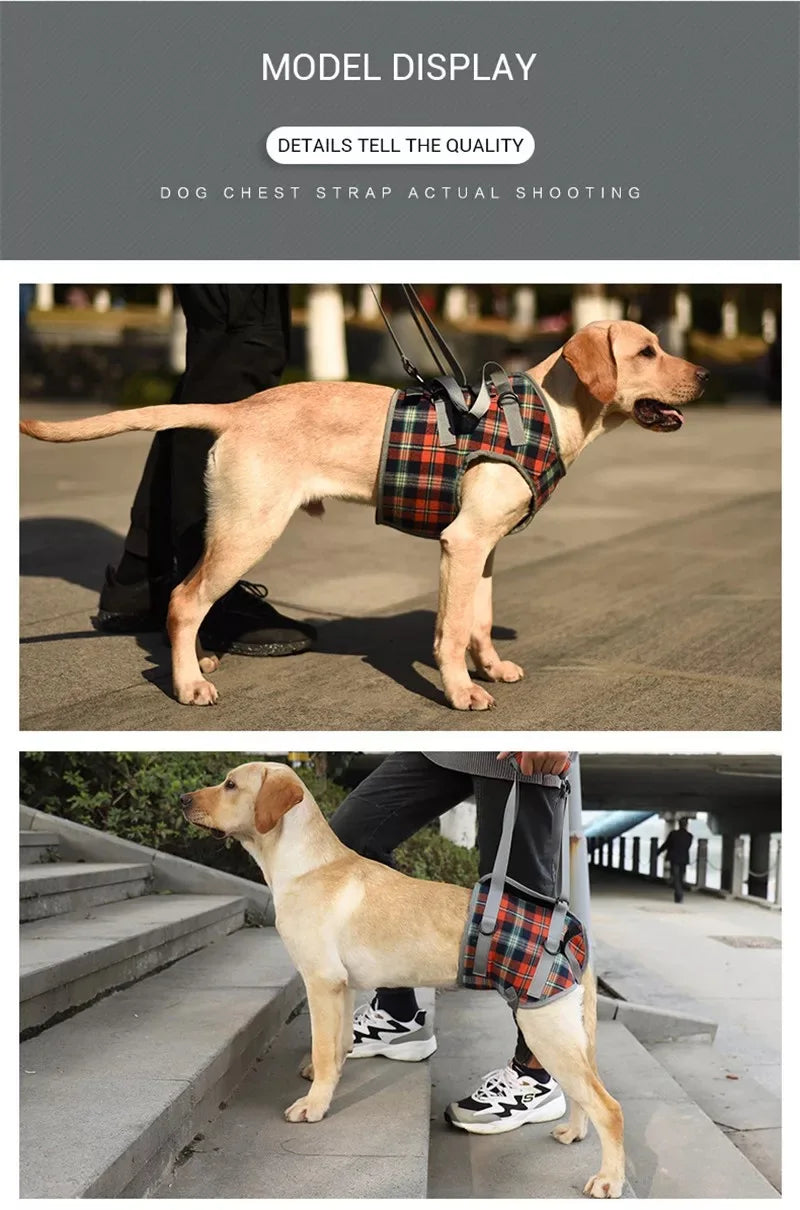 Premium Adjustable Dog Support Harness For Senior Pet Leg Recovery - Mobility Buy